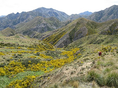 2013-11-16 10.28.33 IMG_2975 Brian - descending from Palmer Saddle.jpeg: 3072x2304, 1383k (2013 Nov 16 10:28)