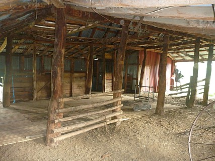 Quail Flat historic woolshed interior
Photographer;&nbsp;Simon
2013-11-18&nbsp;08.50.33;&nbsp;Metadata time: '2013 Nov 18 08:50'
Original size:&nbsp;4,000 x 3,000; 5,535 kB
Filename: 2013-11-18 08.50.33 P1050389 Simon - Quail Flat historic woolshed interior.jpeg