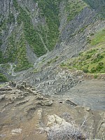 Seymour Stream and Driving Spur