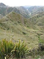 Seymour Stream and Driving Spur