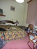 2015-02-15 18.26.00 Panorama Simon - room_stitch.jpg: 3811x5016, 3742k (2015 Jun 13 12:56)