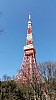 2015-02-19 10.11.03 Jim - Tokyo Tower.jpeg: 2976x5312, 6137k (2015 Jun 28 09:20)