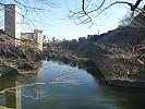 2015-02-19 15.49.23 P1010759 Simon - the moat.jpeg: 4000x3000, 6979k (2015 Jun 28 11:13)