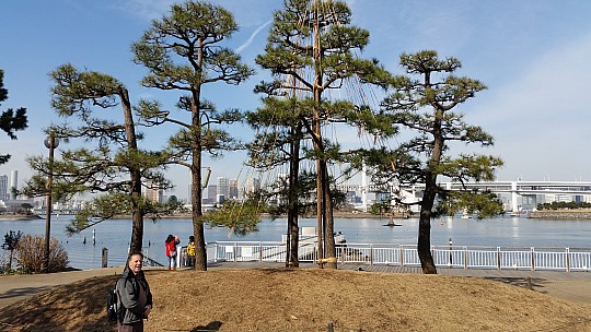2015-02-07 11.19.30 Jim - Tokyo - in around Odaiba Park - Simon and supported tree.jpeg: 5312x2988, 7448k (2015 Feb 21 21:45)