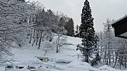 2015-02-09 08.16.06 Jim - Alupu Lodge Bedroom view outside.jpeg: 5312x2988, 7349k (2015 Feb 21 21:30)