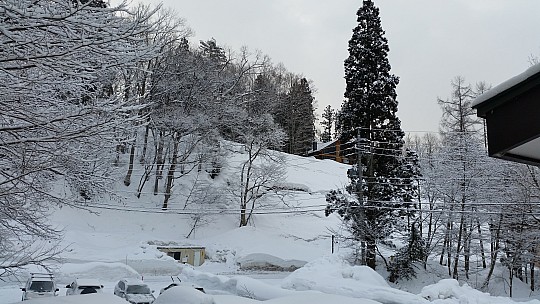 Alupu Lodge Bedroom view outside
Photo: Jim
2015-02-09 08.16.06; '2015 Feb 09 08:16'
Original size: 5,312 x 2,988; 7,349 kB