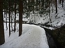 2015-02-13 10.28.38 P1010489 Simon - path thru Japanese Firs to Snow Monkey Onsen.jpeg: 4000x3000, 5774k (2015 Jun 07 14:10) 2015-02-13 10.28.38 P1010489 Simon - path thru Japanese Firs to Snow Monkey Onsen.jpeg: 4000x3000, 5774k (2015 Jun 07 14:10)
