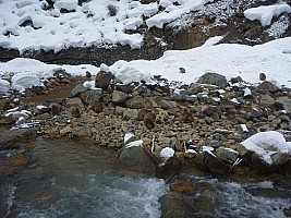Lots Of Snow Monkeys Across The River
Photographer;&nbsp;Simon
2015-02-13&nbsp;11.08.04;&nbsp;Metadata time: '2015 Feb 13 11:08'
Original size:&nbsp;4,000 x 3,000; 6,871 kB
Filename: 2015-02-13 11.08.04 P1010507 Simon - lots of snow monkeys across the river.jpeg