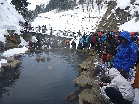 Watching The Snow Monkeys
Photographer;&nbsp;Simon
2015-02-13&nbsp;10.52.42;&nbsp;Metadata time: '2015 Feb 13 10:52'
Original size:&nbsp;4,000 x 3,000; 5,812 kB
Filename: 2015-02-13 10.52.42 P1010500 Simon - watching the snow monkeys.jpeg