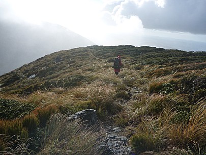 2015-05-31 09.57.23 P1010946 Simon - Bruce heading down the Atiwhakatu track.jpeg: 4000x3000, 6790k (2015 Jun 14 17:10) 2015-05-31 09.57.23 P1010946 Simon - Bruce heading down the Atiwhakatu track.jpeg: 4000x3000, 6790k (2015 Jun 14 17:10)