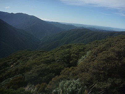 2015-07-05 11.36.14 P1020001 Simon - view from Neill Ridge down Neill Spur into Neill Creek.jpeg: 4000x3000, 5892k (2015 Nov 04 18:35)