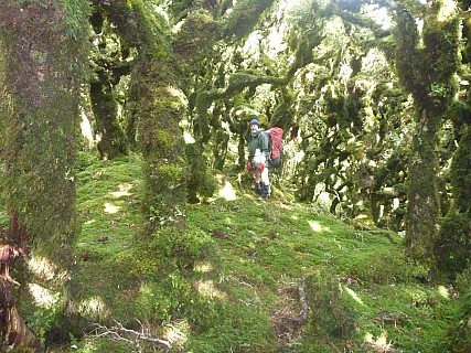 On Neill Spur
Photographer;&nbsp;Simon
2015-07-05&nbsp;11.01.41;&nbsp;Metadata time: '2015 Jul 05 11:01'
Original size:&nbsp;4,000 x 3,000; 5,994 kB
Filename: 2015-07-05 11.01.41 P1010998 Simon - on Neill Spur.jpeg