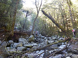 Southern South Branch Temple Stream