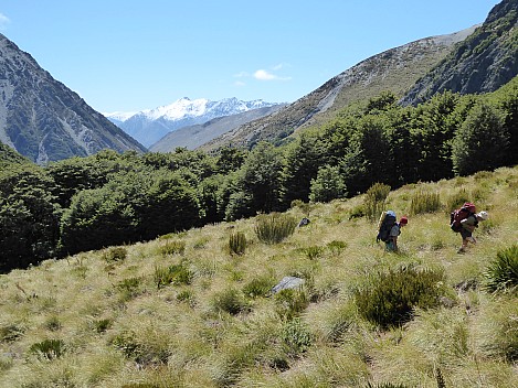 2016-01-04 11.47.26 P1000104 Brian - leaving bush line.jpeg: 4000x3000, 4786k (2016 Jan 04 11:47)