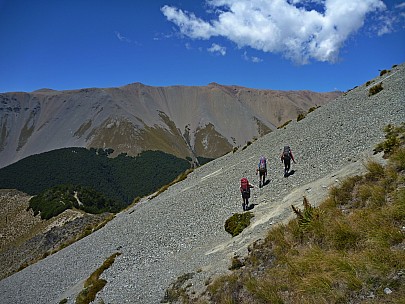 Sidling into Maitland Stream
Photo:&nbsp;Philip
2016-01-05&nbsp;13.27.32;&nbsp;'2016 Jan 05 13:27'
Original size:&nbsp;4,320 x 3,240; 4,496 kB;&nbsp;ed
2016-01-05 13.27.32 P1040085 Philip - sidling into Maitland Stream_ed.jpeg