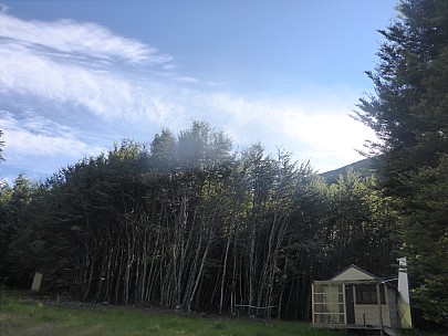 Top Dingle Burn Hut in the morning
Photo: Simon
2016-01-08 08.47.09; '2016 Jan 08 08:47'
Original size: 4,608 x 3,456; 5,825 kB
2016-01-08 08.47.09 P1000370 Simon - Top Dingle Burn Hut in the morning.jpeg