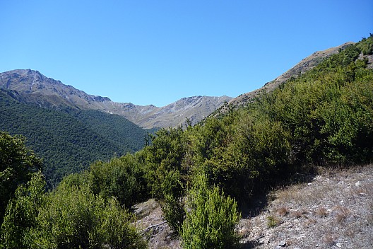 2016-01-09 11.24.13 P1040171 Philip - view back up to Ahuriri pass.jpeg: 4320x2880, 4824k (2016 Jan 09 11:24)