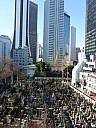 2016-03-03 08.35.03 P1000850 Simon - cemetery P3.jpeg: 3456x4608, 5491k (2016 Mar 03 08:35)