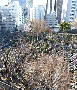 2016-03-03 08.33.50 P1000846 Simon - Shinjuku architecture_stitch.jpg: 4526x5276, 27446k (2016 Sept 07 21:17)