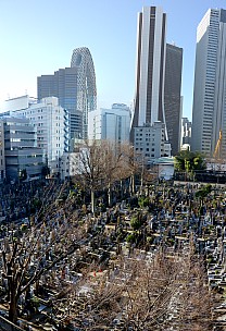 2016-03-03 08.34.05 P1000847 Simon - Shinjuku architecture_stitch.jpg: 4411x6451, 30678k (2016 Sept 07 21:20)