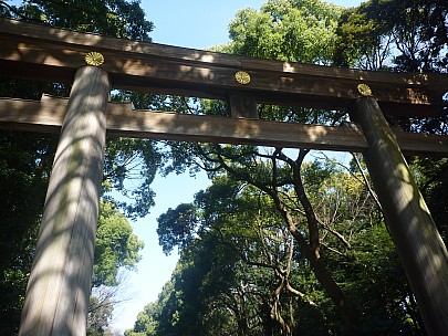 2016-03-03 10.37.48 P1020413 Adrian - Torii gate to Meiji Shrine.jpeg: 4000x3000, 7082k (2016 Mar 07 22:35)