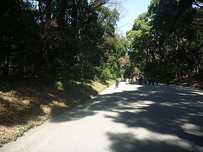 2016-03-03 10.38.19 P1020414 Adrian - path to Meiji Shrine.jpeg: 4000x3000, 6240k (2016 Mar 07 22:35)