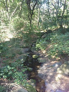 2016-03-03 10.40.28 P1020415 Adrian - stream in Meiji Shrine.jpeg: 3000x4000, 5863k (2016 Mar 07 22:35)