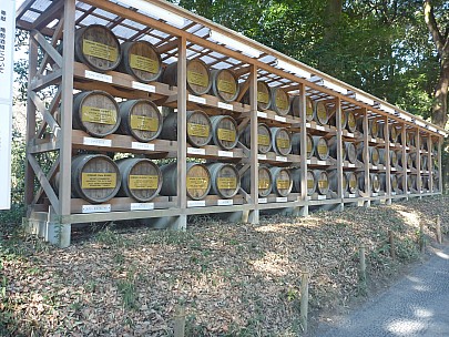 2016-03-03 10.45.02 P1020417 Adrian - wine barrels.jpeg: 4000x3000, 7120k (2016 Mar 07 22:35)