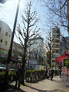 2016-03-03 12.52.52 P1000864 Simon - Adrian in Tokyo Street.jpeg: 3456x4608, 5441k (2016 Mar 03 12:52)