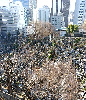 Shinjuku architecture
Photographer;&nbsp;Simon
2016-03-03&nbsp;08.33.50;&nbsp;Metadata time: '2016 Mar 03 08:33'
Original size:&nbsp;4,526 x 5,276; 27,446 kB;&nbsp;stitch
Filename: 2016-03-03 08.33.50 P1000846 Simon - Shinjuku architecture_stitch.jpg