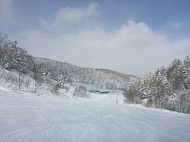 Skiing Rutsusu