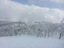 Skiing Rutsusu