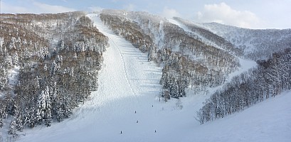 Skiing Rutsusu