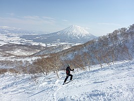 Skiing Niseko