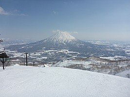 Skiing Niseko