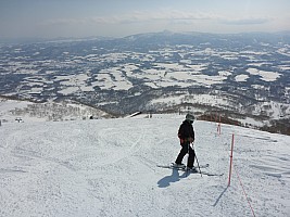 Skiing Niseko