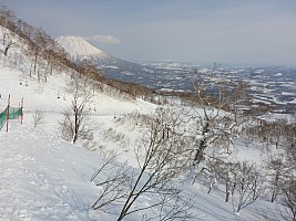Skiing Niseko