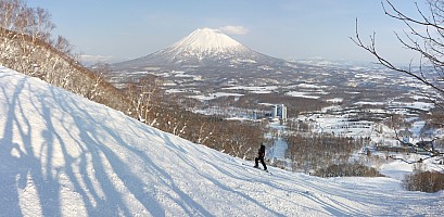 Skiing Niseko