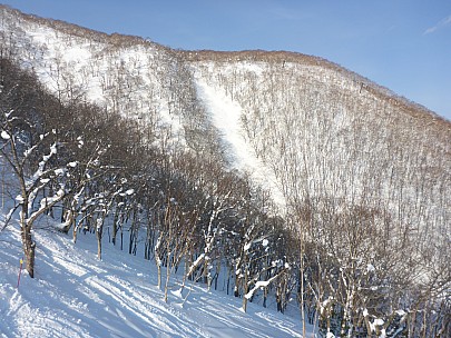 2016-02-28 15.26.32 P1000661 Simon - view into off Piste ski area.jpeg: 4608x3456, 5748k (2016 Feb 28 15:26)