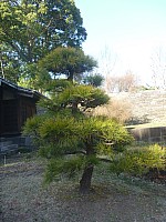 Tōkyō