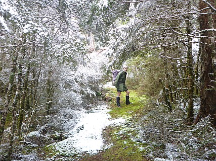 Brian in snow on the track
Photographer;&nbsp;Simon
2016-10-30&nbsp;10.08.52;&nbsp;Metadata time: '2016 Oct 30 10:08'
Original size:&nbsp;3,980 x 2,985; 4,197 kB;&nbsp;cr
Filename: 2016-10-30 10.08.52 P1010061 Simon - Brian in snow on the track_cr.jpg