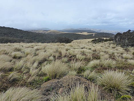 View On Tops Looking Back
Photographer;&nbsp;Simon
2016-10-29&nbsp;14.20.36;&nbsp;Metadata time: '2016 Oct 29 14:20'
Original size:&nbsp;4,608 x 3,456; 6,314 kB
Filename: 2016-10-29 14.20.36 P1010042 Simon - view on tops looking back.jpeg