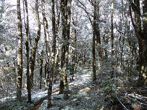 Snow off No Mans Road
Photographer;&nbsp;Brian
2016-10-30&nbsp;09.51.08;&nbsp;Metadata time: '2016 Oct 30 09:51'
Original size:&nbsp;3,295 x 2,471; 3,018 kB;&nbsp;cr
Filename: 2016-10-30 09.51.08 P1000561 Brian - snow off No Mans Road_cr.jpg