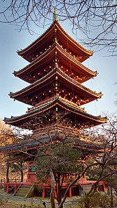 2017-01-11 15.51.21 IMG_20170111_155121382_HDR Simon - Pagoda.jpeg: 2340x4160, 2315k (2017 Jan 11 21:22)