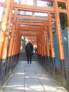 Anne on path from S Shrines
Photographer;&nbsp;Simon
2017-01-11&nbsp;13.18.56;&nbsp;Metadata time: '2017 Jan 11 13:18'
Original size:&nbsp;3,456 x 4,608; 5,175 kB
Filename: 2017-01-11 13.18.56 P1010185 Simon - Anne on path from SShrines.jpeg