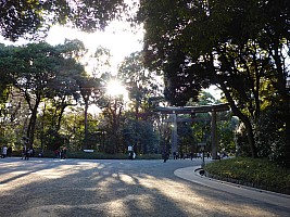 Tōkyō, Yanaka, Shinjuku