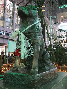 2017-01-13 19.17.02 IMG_8506 Anne - Hachiko.jpeg: 3456x4608, 5950k (2017 Jan 26 18:34)