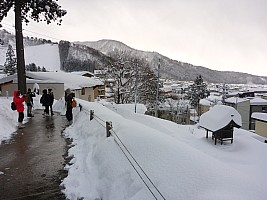 Nozawa Onsen, Jigokudani Nozawa Onsen, Jigokudani