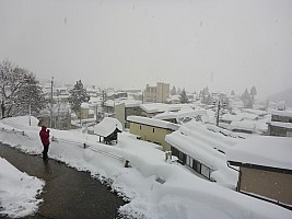 Nozawa Onsen, Jigokudani