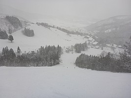 Nozawa Onsen, Jigokudani
